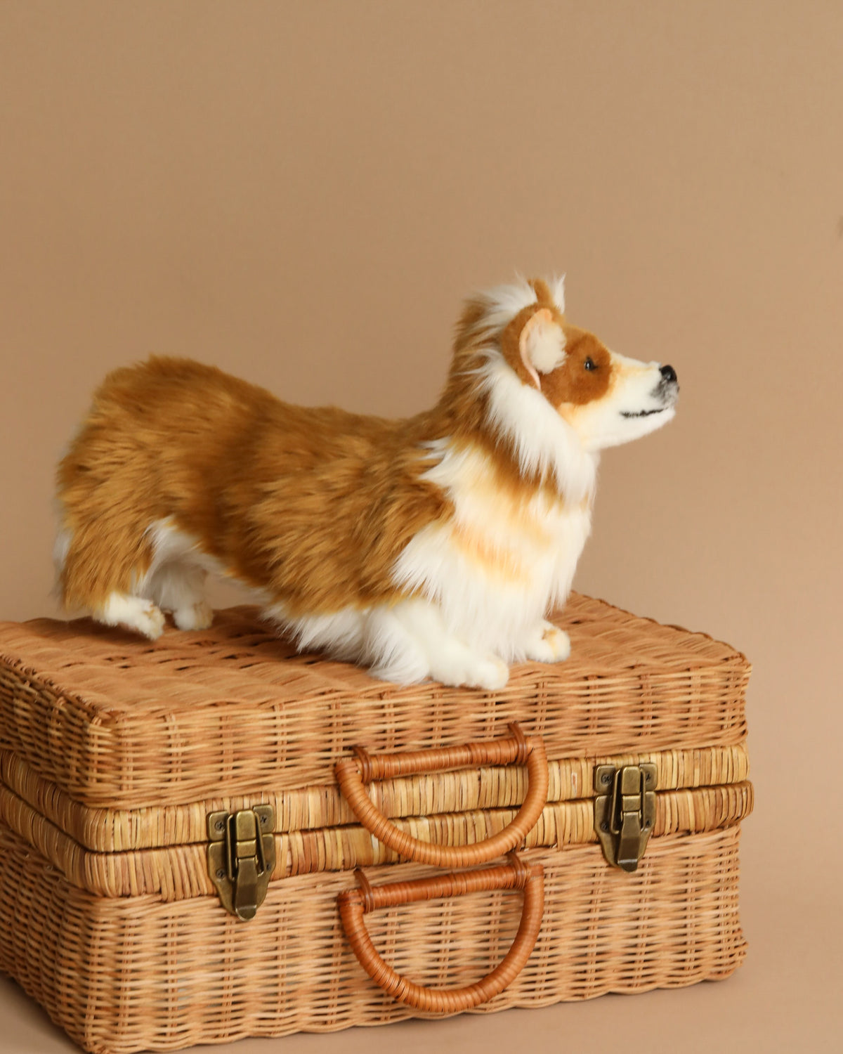 Welsh Corgi Dog Stuffed Animal– Odin Parker