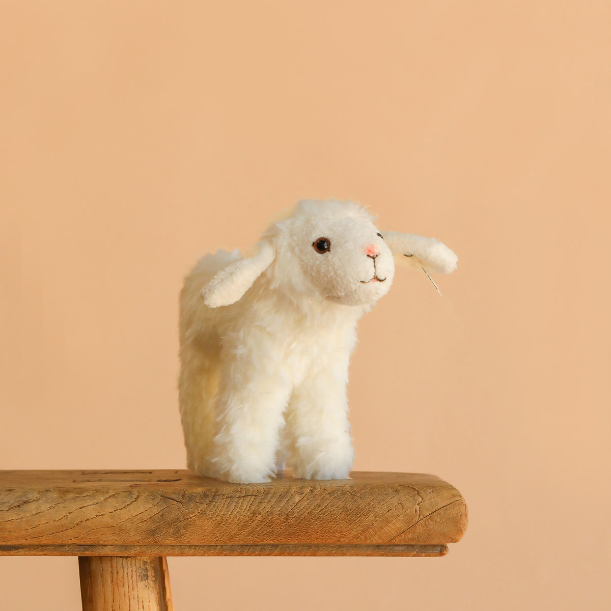 Steiff Anni Lamb– Odin Parker