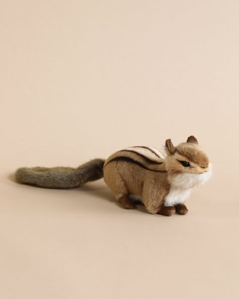 Chipmunk plush online