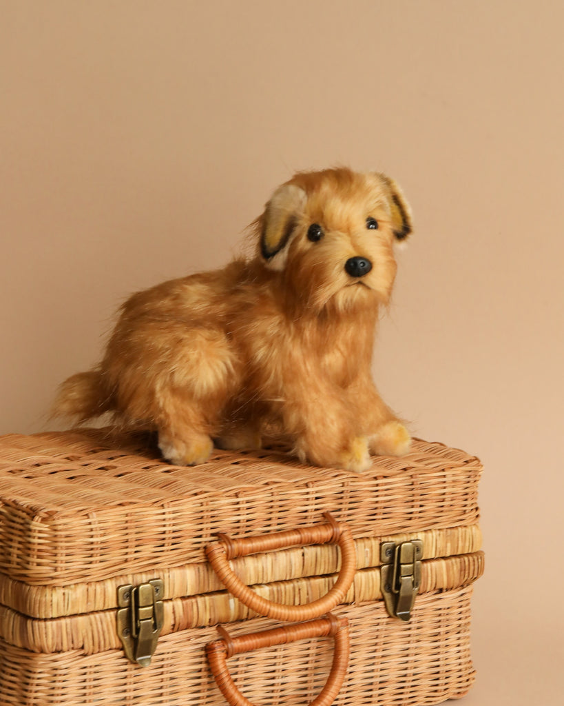 A Terrier Pup Stuffed Animal with golden fur, crafted from high-quality man-made materials, sitting atop a wicker chest against a neutral beige background.