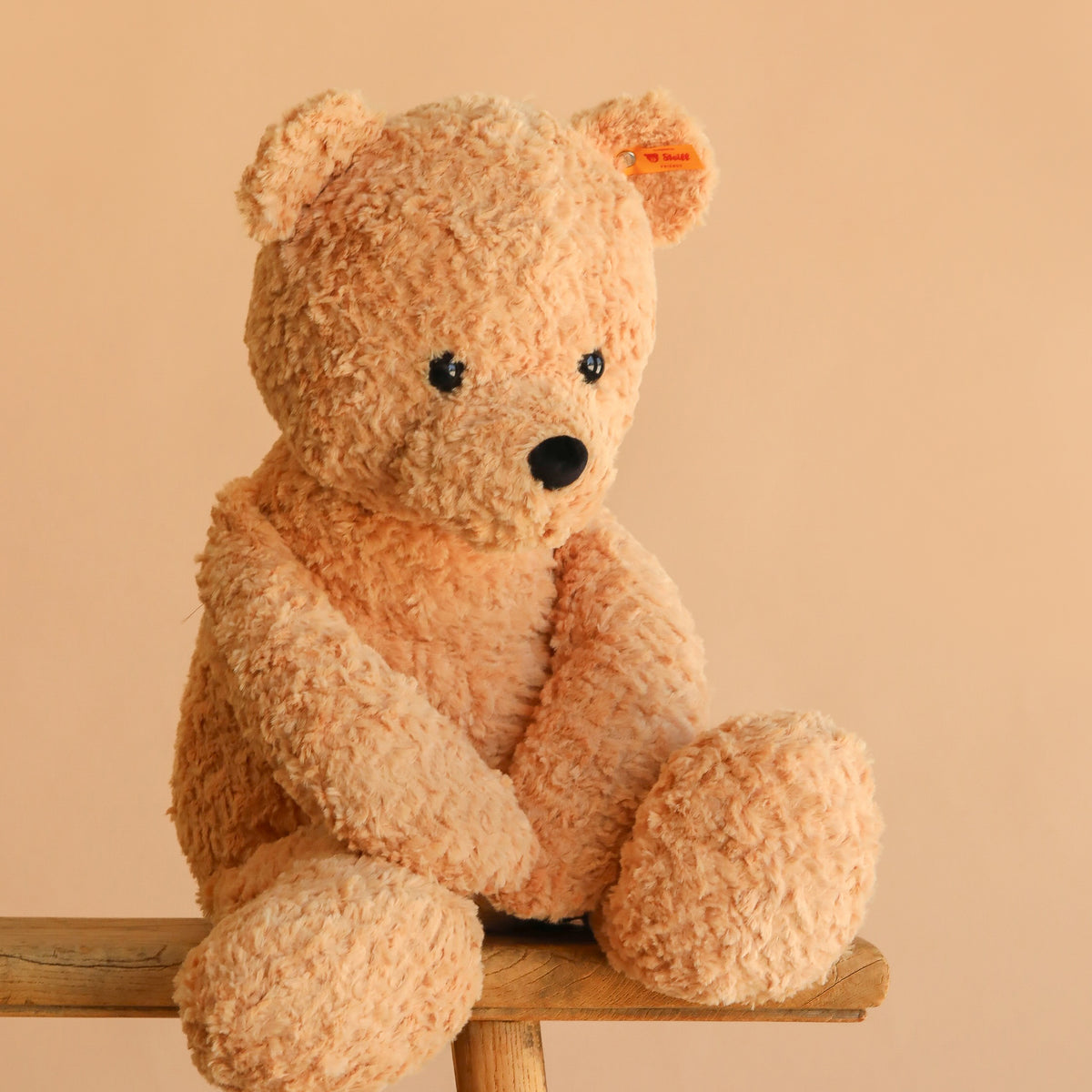 Steiff XL Jimmy Teddy Bear, 22