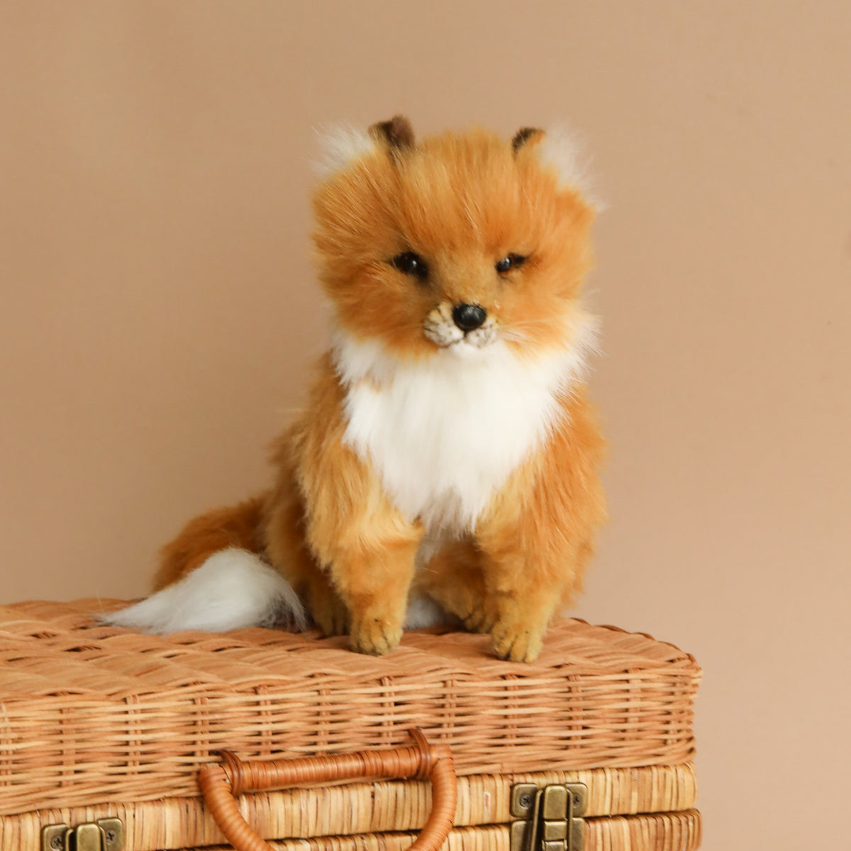 2J2A0744-2_ee061e26-1c18-45e9-