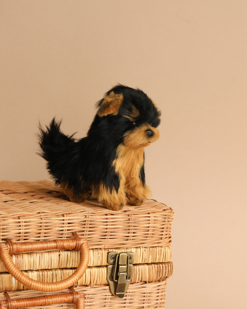 A small Yorkie Tea Cup Dog stuffed animal sits atop a woven wicker basket, looking to the left with alert eyes, on a plain beige background. Its realistic features mimic that of HANSA animals.