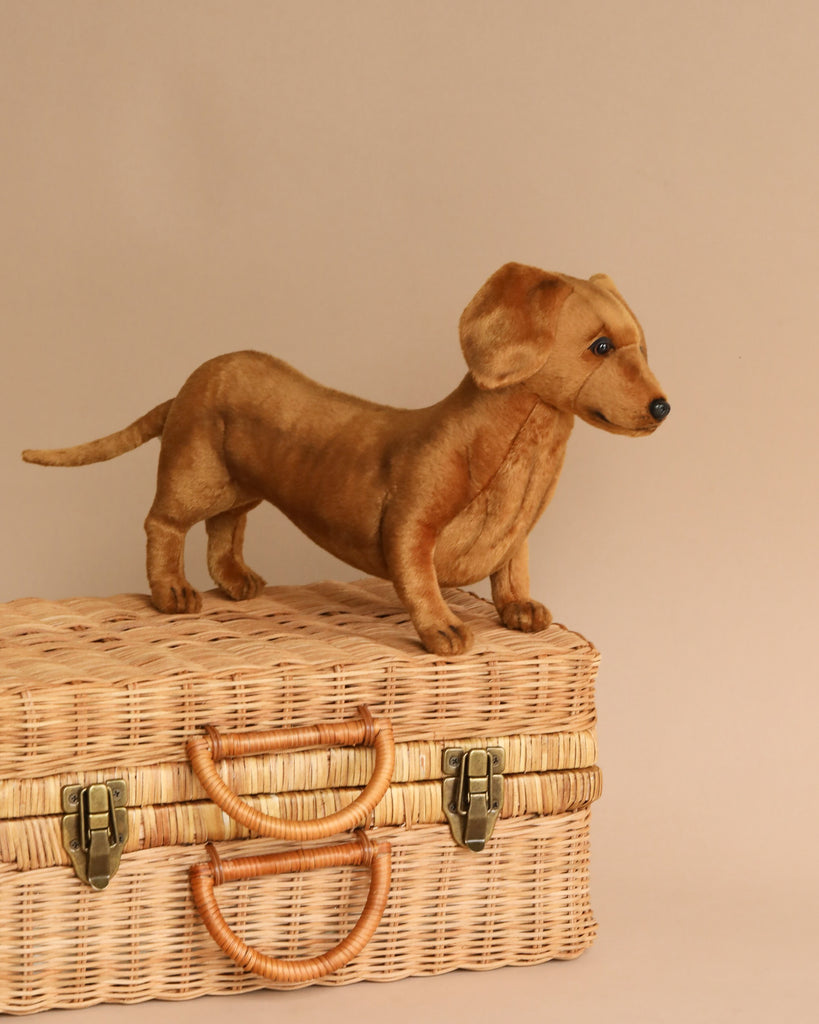 A realistic model of a Dachshund Dog Stuffed Animal standing on a wicker suitcase, set against a warm, neutral backdrop. The HANSA animal is finely detailed with a golden-brown coat and attentive gaze.