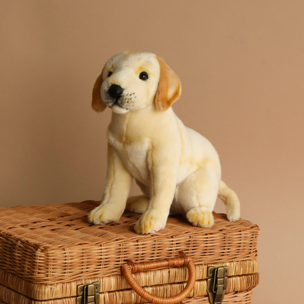 Labrador Dog Stuffed Animal– Odin Parker