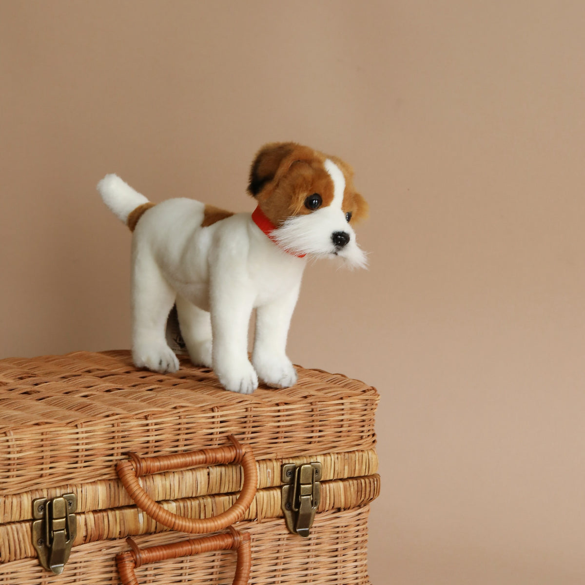 Jack russell terrier plush online