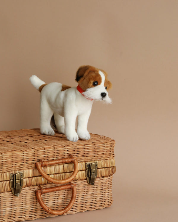 A Jack Russel Terrier Dog Stuffed Animal with brown and white fur and a red collar, hand sewn, stands on top of a wicker suitcase against a beige background.