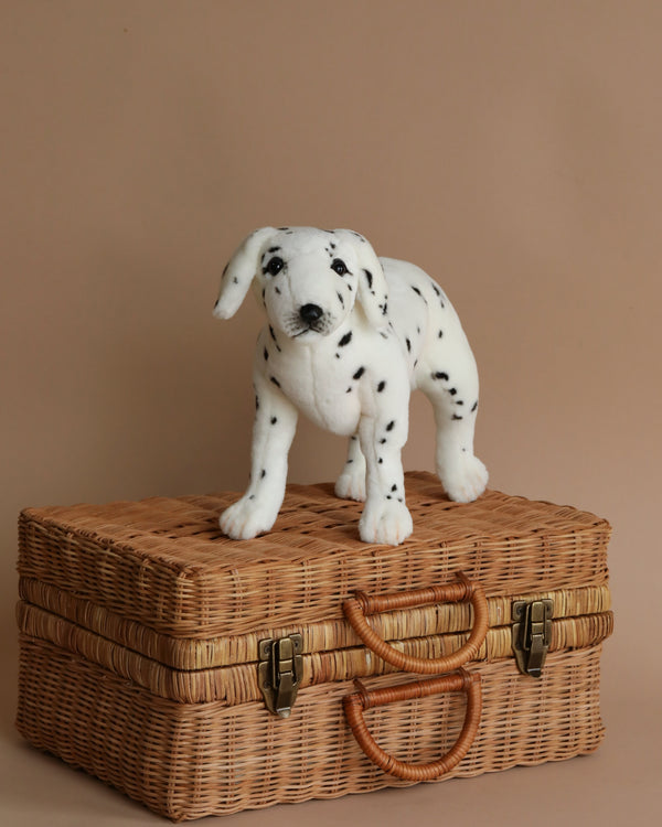 A Dalmatian Puppy Dog Stuffed Animal - Standing standing on an artisan hand-sewn wicker basket against a neutral beige background. The puppy is speckled with black spots and looks curiously forward.