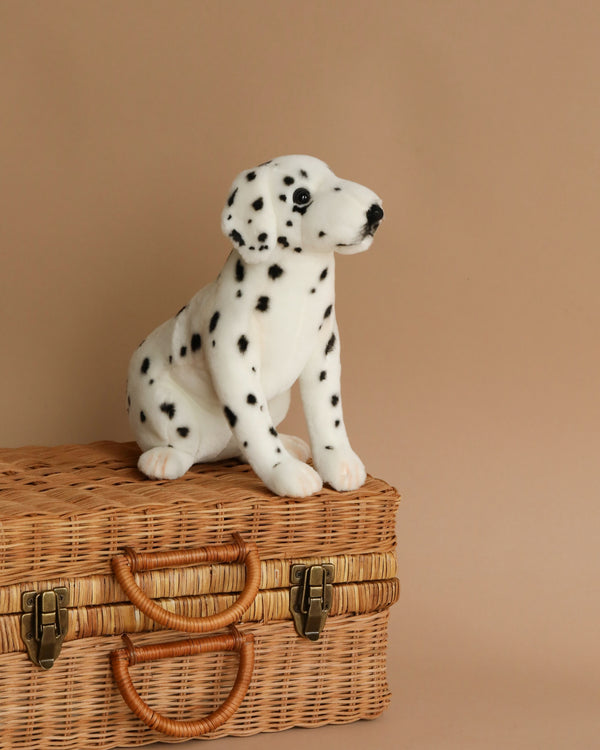 A Sitting Dalmatian Dog Stuffed Animal sitting on top of a woven wicker suitcase against a plain beige background.