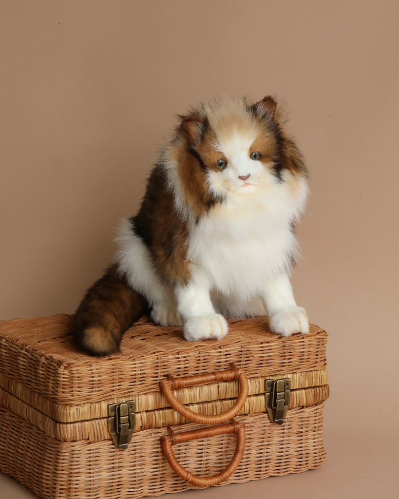 A fluffy, tricolored Forest Cat Stuffed Animal with a stern expression sits atop a hand-sewn wicker basket against a soft beige background.