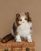 Fluffy, tricolor Forest Cat Stuffed Animal with striking blue eyes sitting proudly on a wicker basket against a soft beige background. The cat's fur is predominantly white with rich brown and black patches, crafted into a realistic stuffed animal.