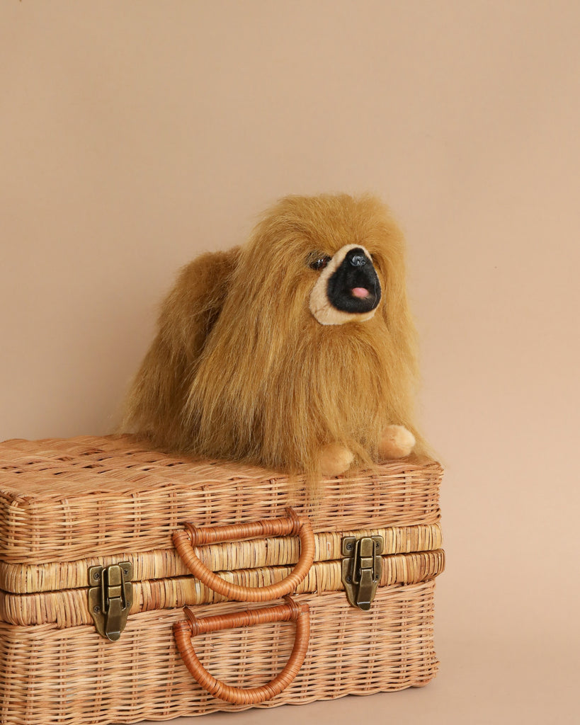 A fluffy Pekingese Dog Stuffed Animal with realistic features and a rich golden coat sits on top of a woven wicker suitcase against a plain light brown background. The dog gazes off to one side, showcasing its thick mane.