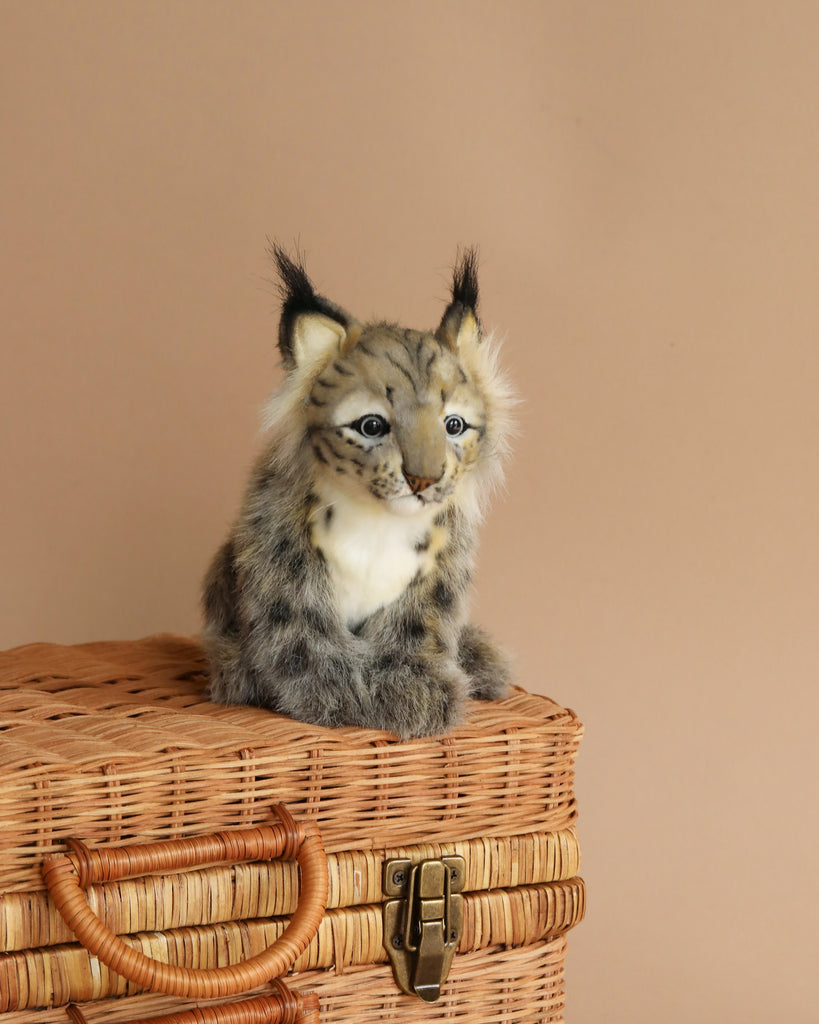 A lifelike plush toy of a Lynx Cub Animal sitting on a wicker chest. The toy, an artisan hand-sewn creation, features realistic detailing including tufted ears and spotted fur, set against a plain beige background.