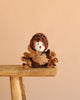 Bukowski - Ziggy Spider, a plush toy with brown fur and a cute spider hoodie, sits on a wooden bench against a beige background—ideal for imaginative play and cozy moments.