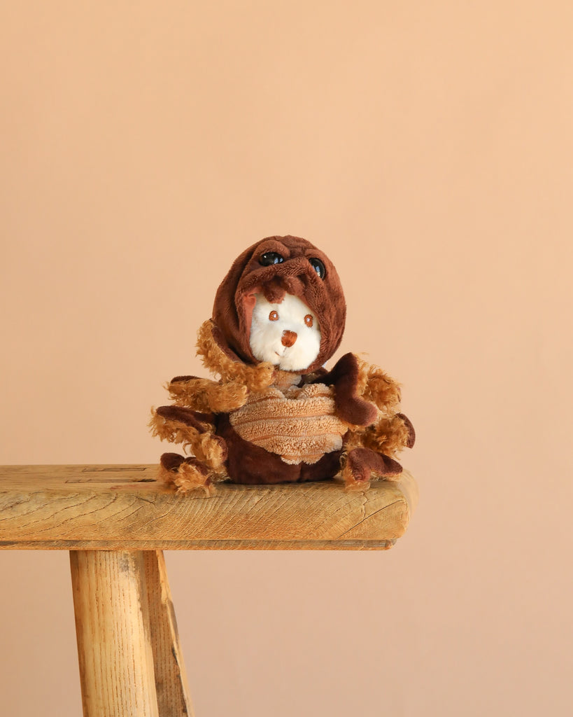Bukowski - Ziggy Spider, a plush toy with brown fur and a cute spider hoodie, sits on a wooden bench against a beige background—ideal for imaginative play and cozy moments.