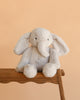 Snuggle Bunnies - Olive The Elephant, a soft plush with floppy ears, sits on a wooden surface against a peach backdrop—perfect as a cuddly toy for snuggles.