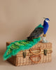 A vibrant Peacock Stuffed Animal with striking blue and green feathers, perched on a woven wicker suitcase against a soft beige background.