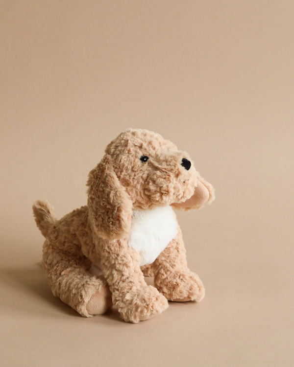 A Steiff, Jimmy Berno Goldendoodle Puppy, 10" plush with a fluffy tan coat and a white belly sitting against a plain beige background, looking to the side.