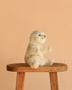 A fluffy white Polar Bear Puppet sits upright on a wooden stool against a plain peach background, showcasing the lifelike charm of realistic plush animals.