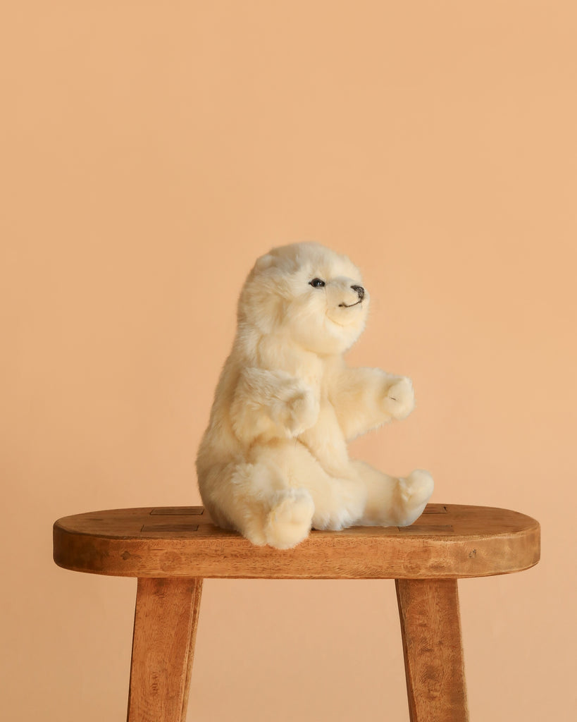 A fluffy white Polar Bear Puppet sits upright on a wooden stool against a plain peach background, showcasing the lifelike charm of realistic plush animals.