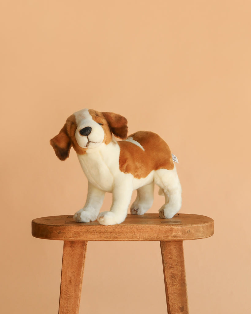 The Saint Bernard Puppy Dog Stuffed Animal, from our hand sewn plush animals collection, stands on a wooden stool against a plain peach background.