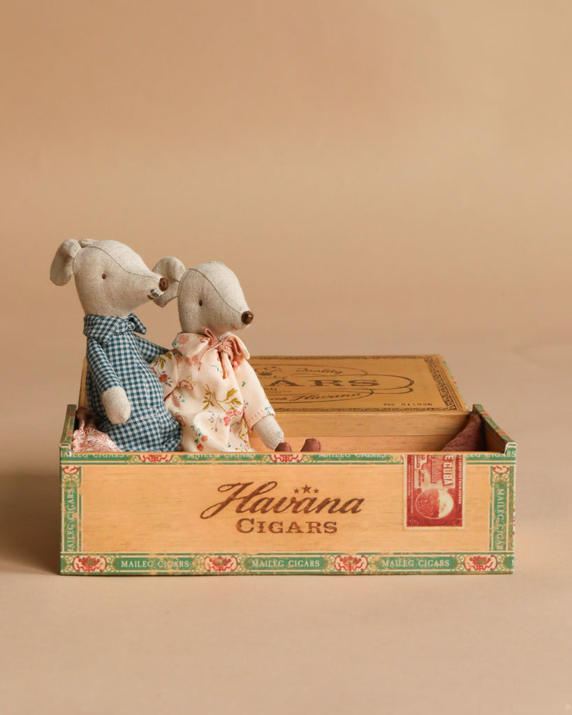 Two Maileg Grandma & Grandpa mice, dressed in charming outfits, sit inside an open vintage cigar box labeled “Havana Cigars” against a beige background, creating a delightful scene perfect for pairing with the Maileg Kitchen Set or other miniature dollhouse furniture.