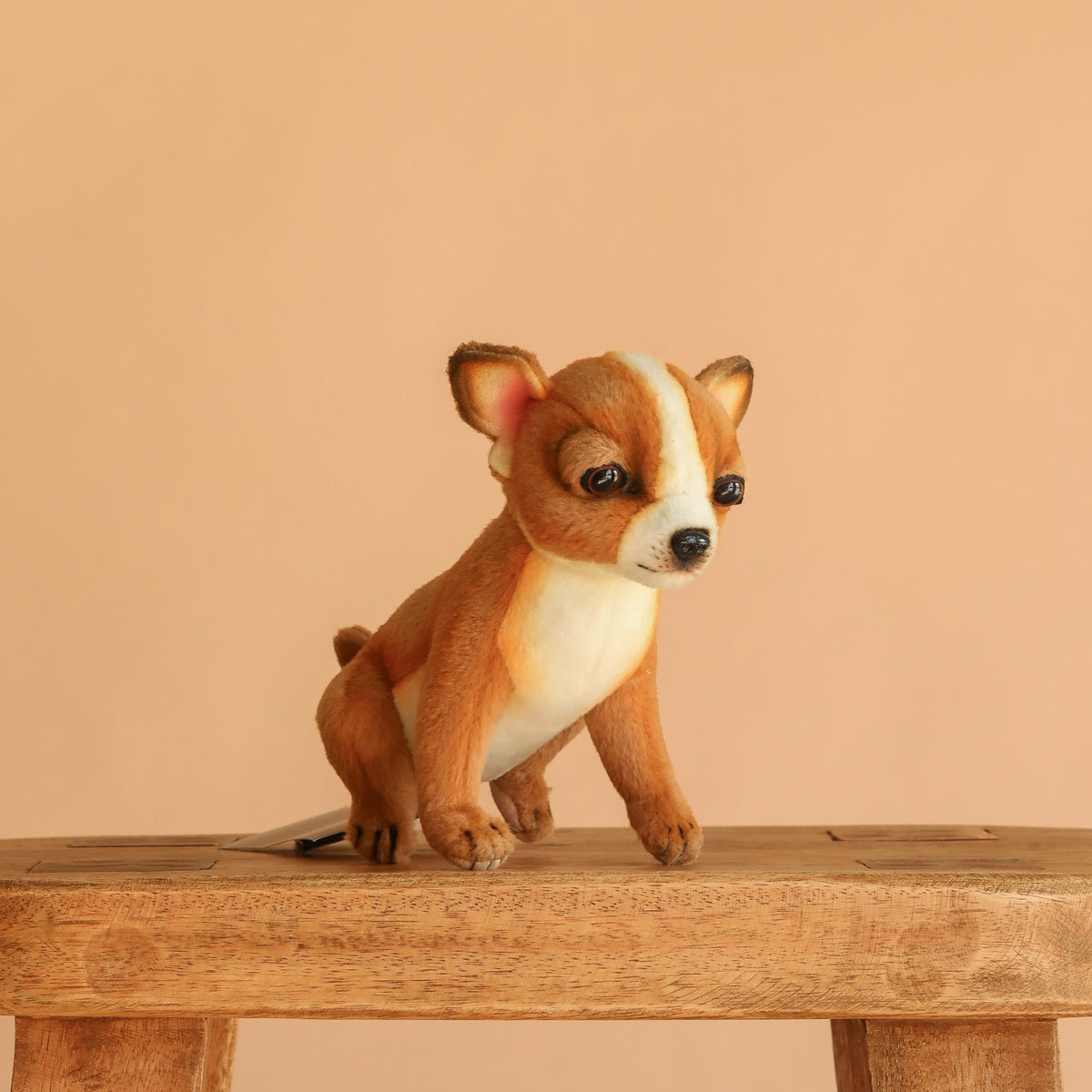 Chihuahua Tea Cup Dog Stuffed Animal– Odin Parker