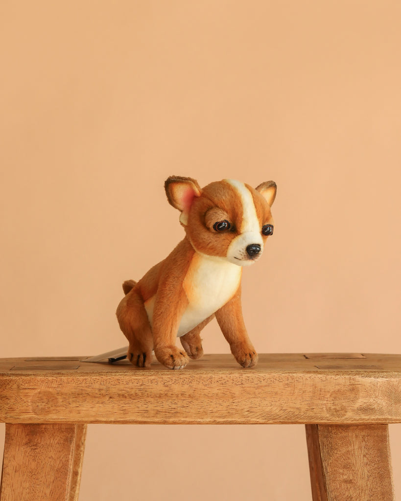 The Chihuahua Tea Cup Dog Stuffed Animal, with brown and white fur, is displayed on a wooden stool against a beige background.