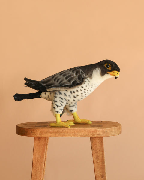  bird イッタラ バード　Falcon　ファルコン 2J2A1379_grande.jpg?v=1782796094