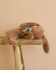 A Maileg Sleeping Bunny in Carry Cot with floppy ears and a silver ribbon rests on its side atop a rustic wooden stool against a beige background.