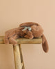 A Maileg Easter Egg With Sleeping Bunny, featuring a soft brown plush bunny with floppy ears and a gray satin ribbon, lies on its side on a rustic wooden stool against a beige background.