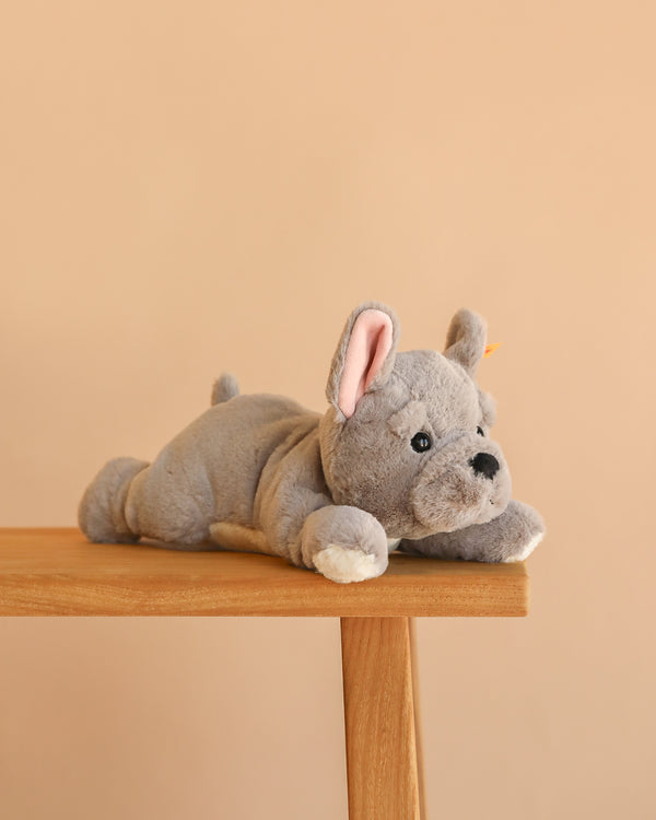 The Steiff Brie French Bulldog plush, featuring gray fur and pink-lined ears, is stretched out on a wooden table against a beige background.