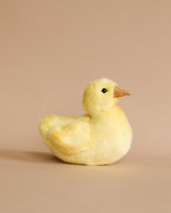 A fluffy, yellow Duck Chick stuffed animal with a soft appearance sits on a light brown background. The duckling appears plush and cuddly with a serene expression.