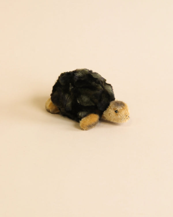 A Steiff Slo Tortoise 8" plush toy with a dark shell and a light brown head and limbs, positioned on a light beige background.