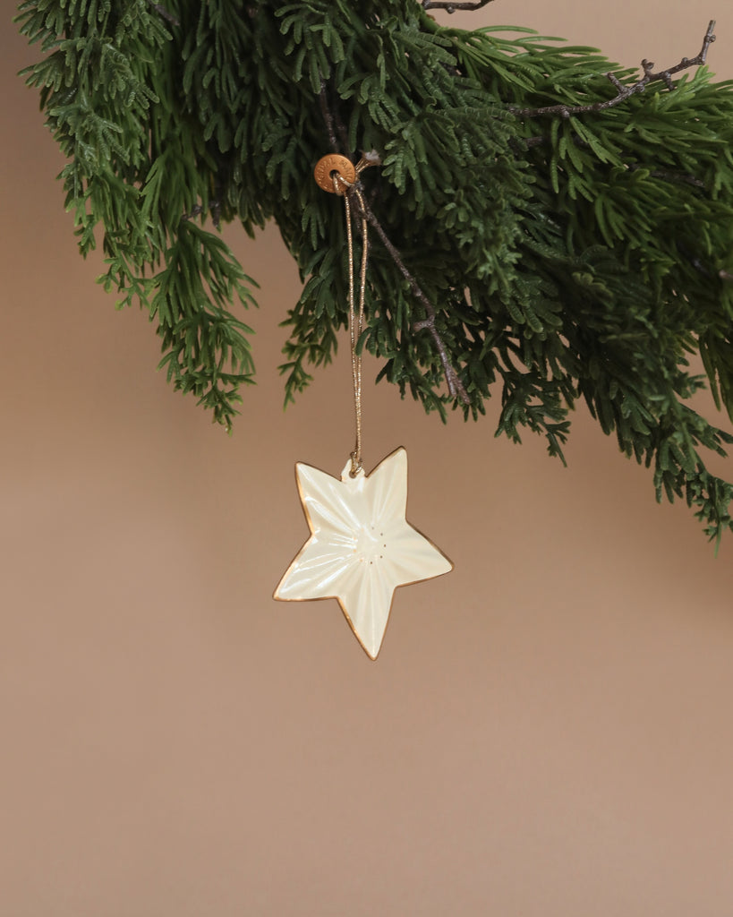 A Maileg Christmas Metal Ornament - Star, with its white star shape, hangs from a sprig of green pine against a beige background, creating a simple and festive scene.