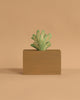 The Ferm Living Hand Carved Wooden Harbour Box - Coral features a small green plant with rounded leaves in a light brown rectangular planter, perfect as charming children's room decor against a plain beige background.