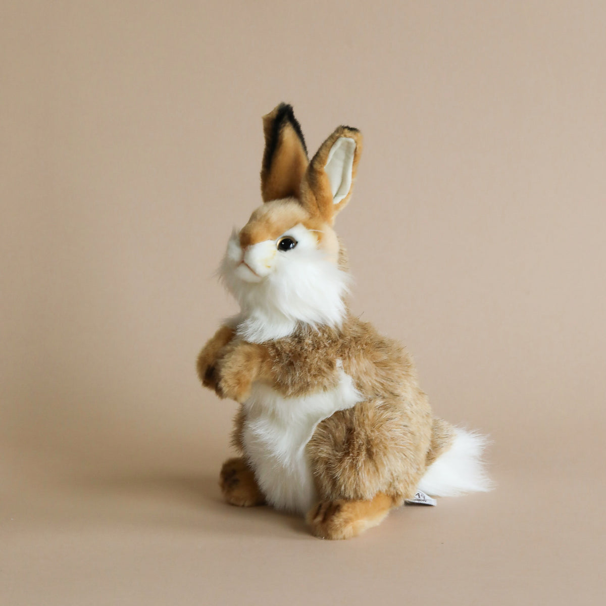 Thumper Rabbit Stuffed Animal– Odin Parker