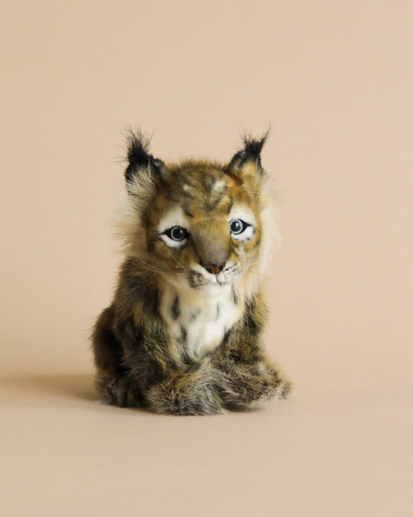 A Lynx Cub Animal plush toy with a realistic face, featuring detailed fur, expressive blue eyes, and distinctive tufted ears, sitting against a soft peach background. This is one of our unique Lynx Cub Animal products.
