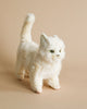 A lifelike toy replica of a White Cat Stuffed Animal with fluffy fur, vivid green eyes, and an upright tail, featuring realistic plush features, standing against a plain beige background.
