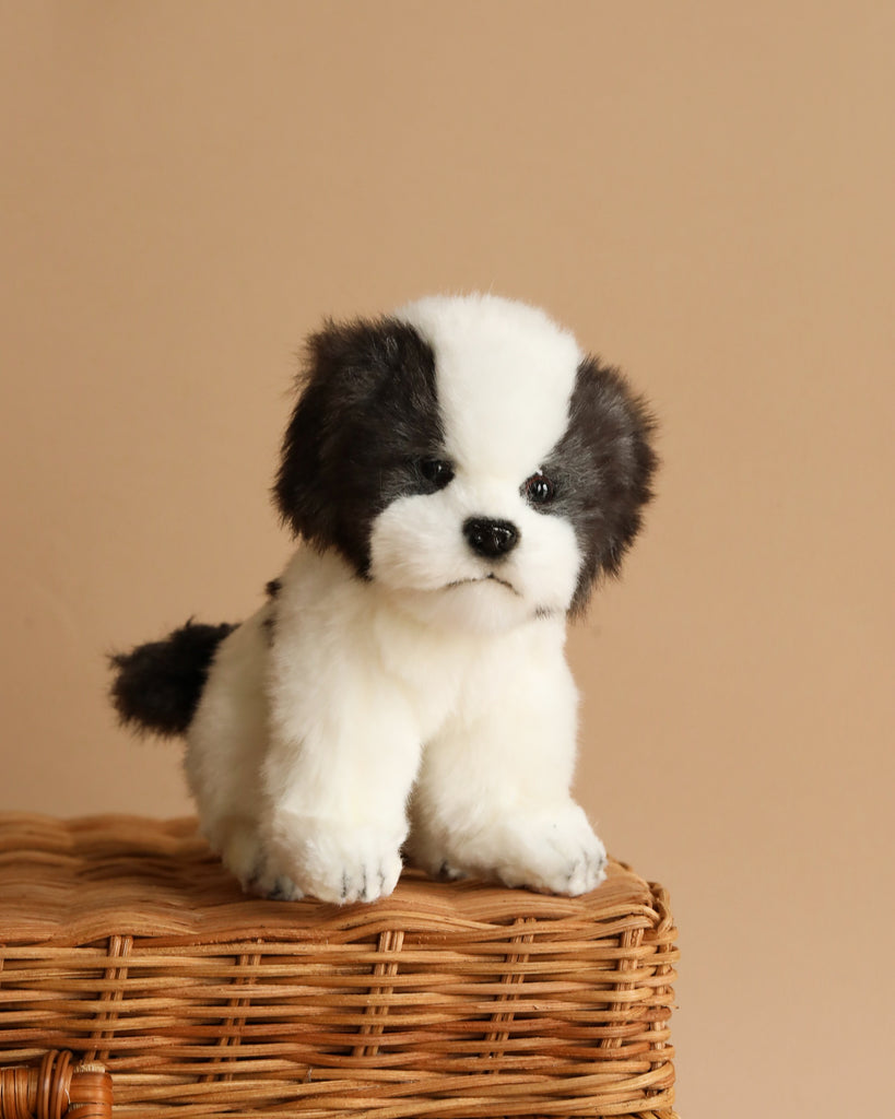 The Shih Tzu Tea Cup Dog Stuffed Animal, a small plush toy with white and black fur, is seated on a woven wicker basket. The hand-sewn creature looks incredibly soft and lifelike, featuring realistic details like a serious expression and slightly floppy ears. The background is a neutral beige color.