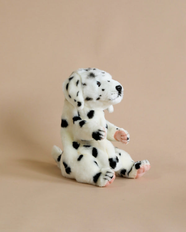 A Dalmatian Dog Puppet, crafted from high quality plush materials, sits on a beige background, featuring distinct black spots, prominent floppy ears, and realistic eyes.