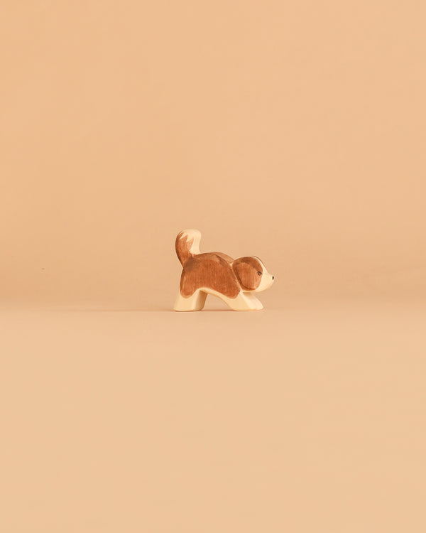 A small Ostheimer Dog – Saint Bernhard, Head Down, with brown and white coloring stands on a smooth, beige surface against a matching beige background, inviting imaginative play and storytelling.