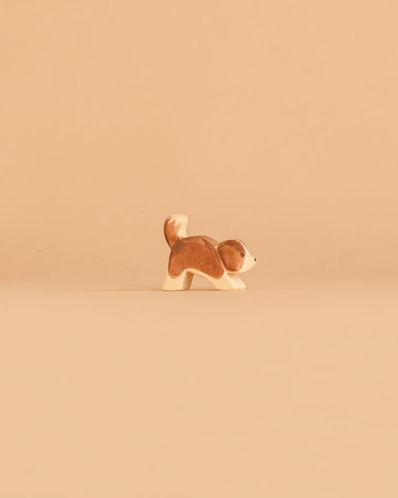 A small Ostheimer Dog – Saint Bernhard, Head Down, with brown and white coloring stands on a smooth, beige surface against a matching beige background, inviting imaginative play and storytelling.