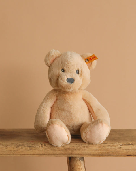 Steiff Bearzy Teddy Bear– Odin Parker