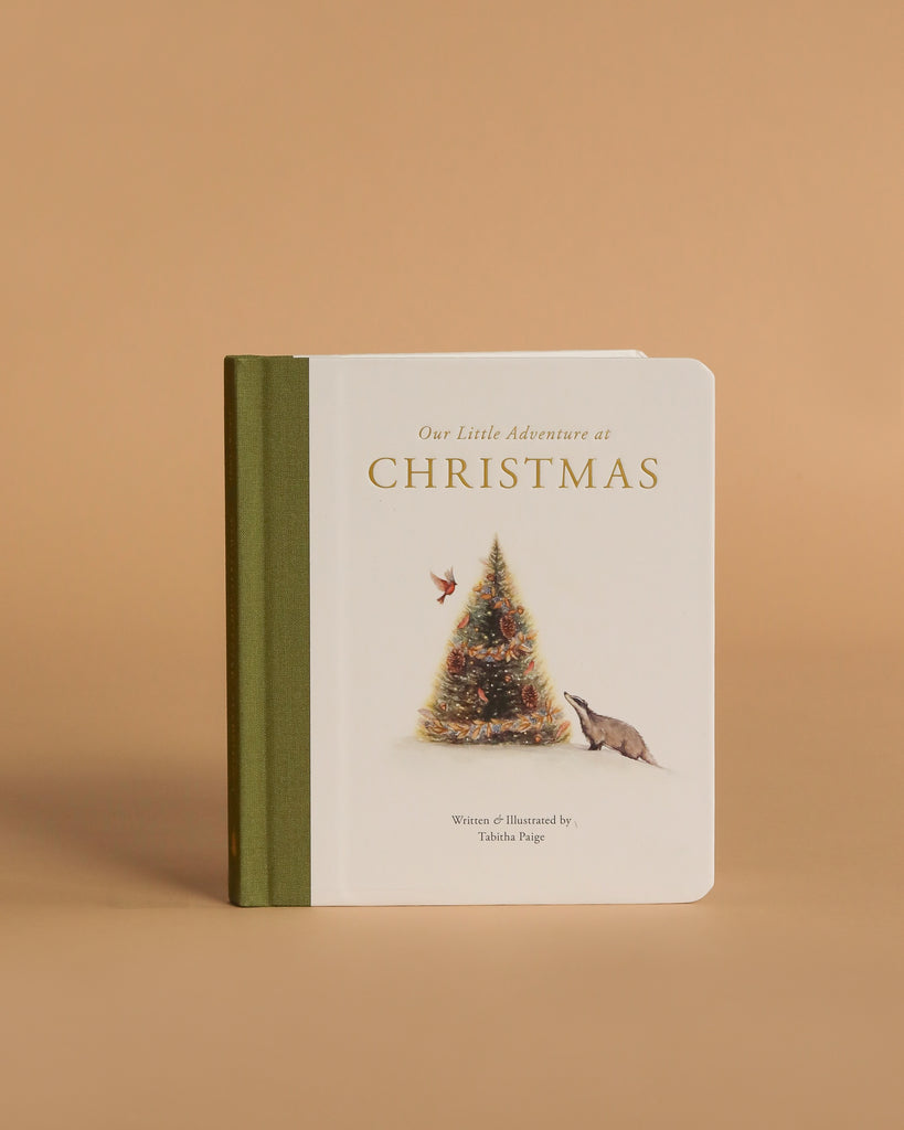 Our Little Adventure at Christmas (Baby's first Christmas)" is a delightful board book for toddlers, perfect as a first Christmas gift to encourage early language development. The cover features a Christmas tree, bird, and anteater.