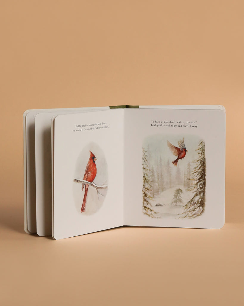 Our Little Adventure at Christmas (Baby's first Christmas) board book features charming red cardinal illustrations—ideal for early language development and a perfect holiday gift for toddlers.