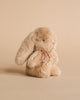 A soft, plush Easter Basket Set bunny with long ears and a small bow around its neck, sitting against a plain beige background.