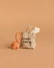The Maileg Pet Supply, Toys—a small beige tote labeled "Goodie bag" with a dog silhouette and puppy accessories—stands beside an orange rope dog toy on a plain tan background.