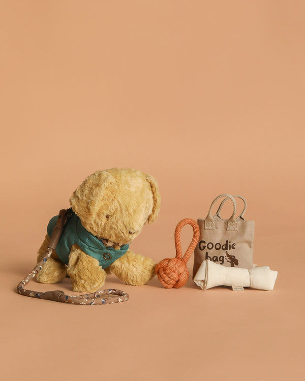 The Maileg Puppy Playtime Set with Goodie Bag features a plush puppy in a blue harness and leash, seated on a beige surface with a rope toy, "Goodie bag" tote, and rolled dog waste bag against a light brown background.