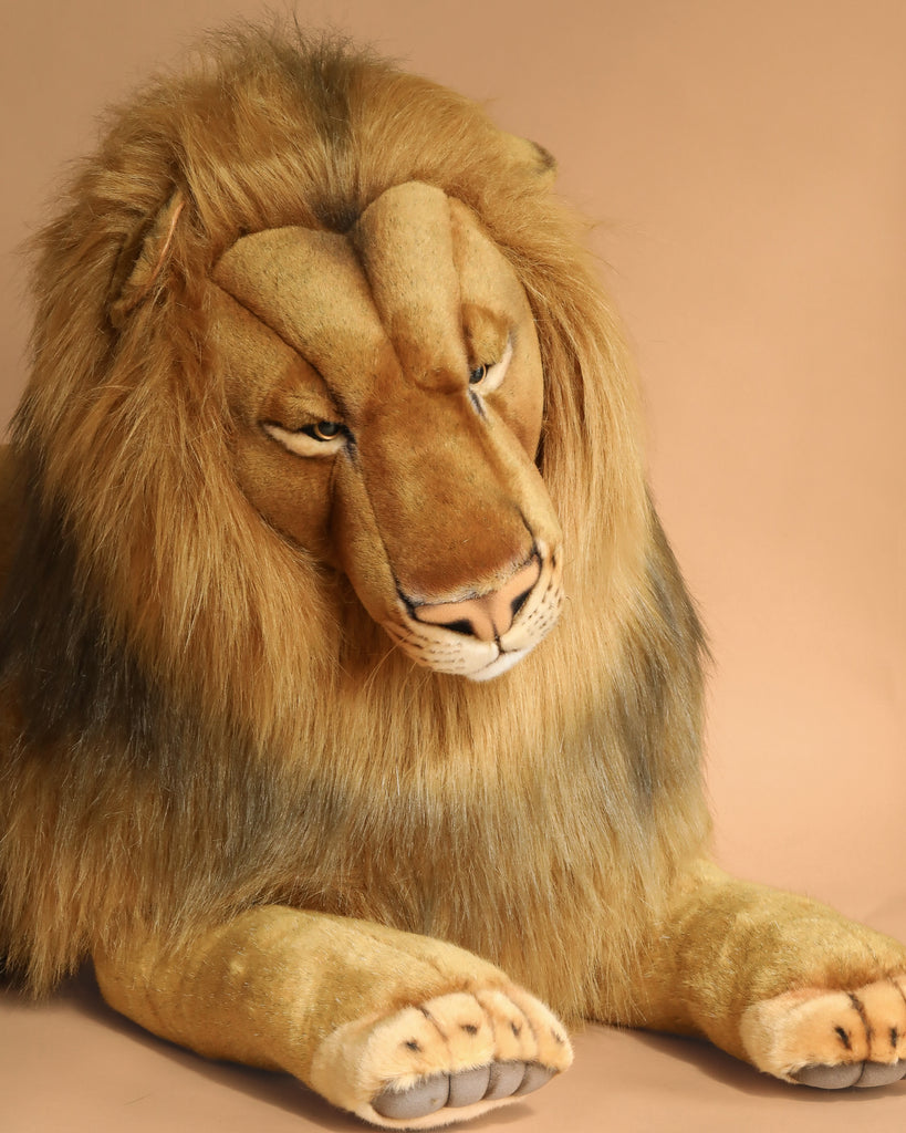 The Extra Large Lion, 39'' – FINAL SALE, features hand-sewn details and golden fur. It lies on a light brown background with a calm expression, making it a stunningly realistic plush addition to any collection.